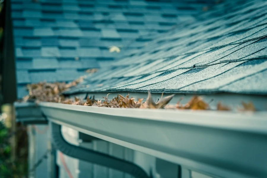 The Role Of Gutter Systems In Yard Health in Chesapeake, VA